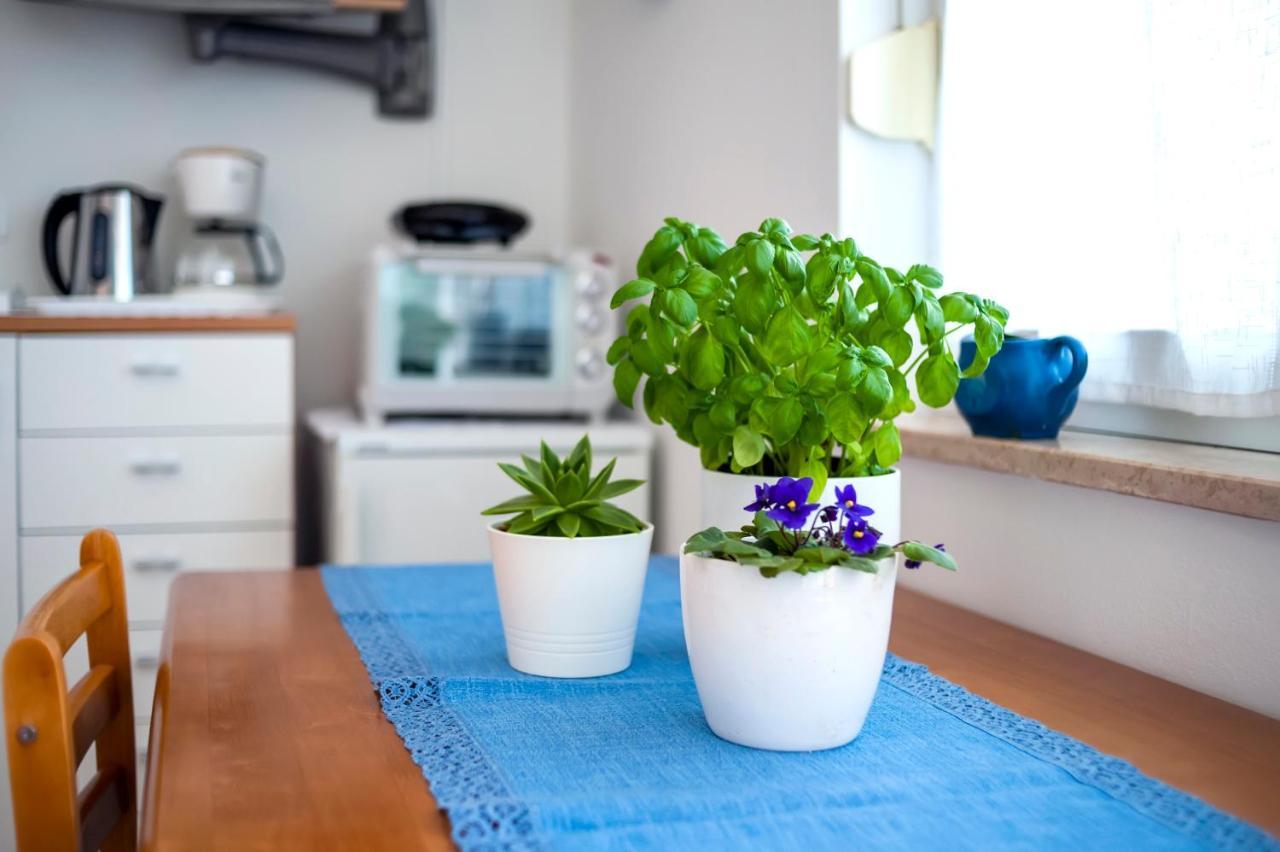 Banko Apartments Rovinj Zewnętrze zdjęcie